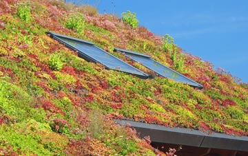 Greinetobht living roof systems