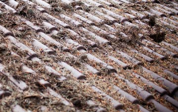 Greinetobht roof cleaning companies