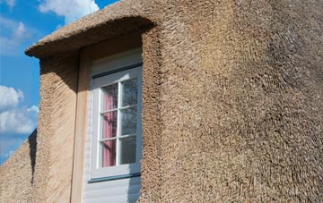 Greinetobht thatch roof disadvantages