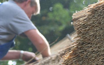 professional Greinetobht thatchers