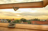 rated Greinetobht roof window companies